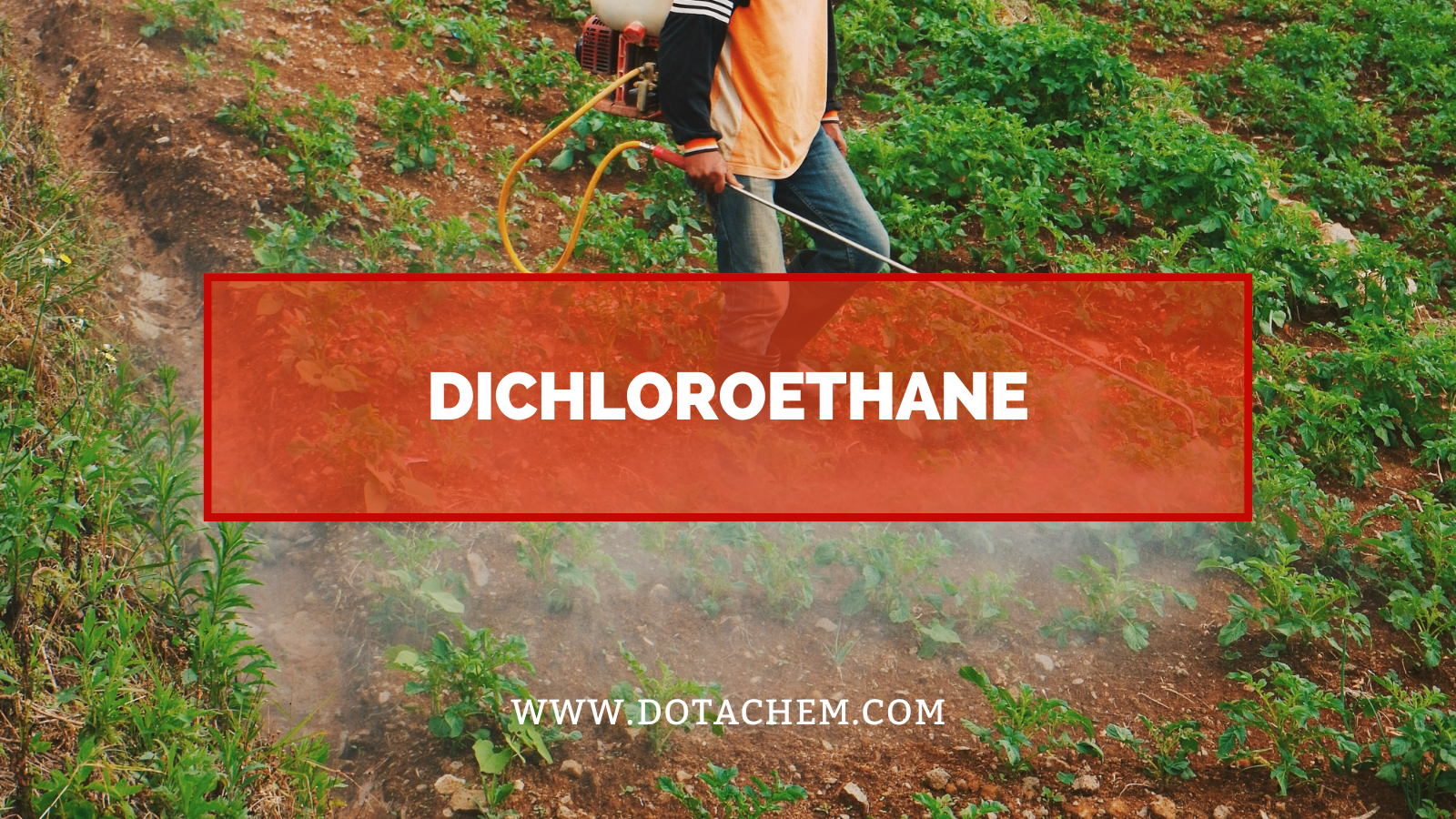 Lungelelanisa izicombululo zeshishini ezisebenzayo ze-dichloroethane kwizicelo ezininzi