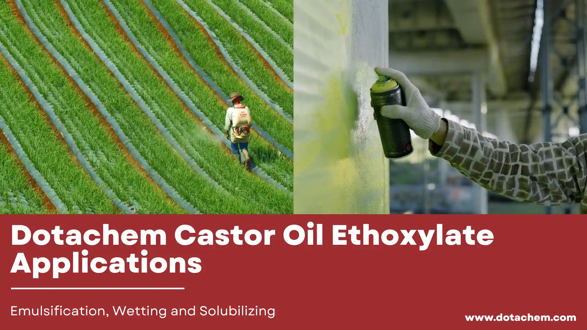 Izicelo ze-Dotachem Castor Oil Ethoxylate kwi-Emulsification, i-Wetting and Solubilizing